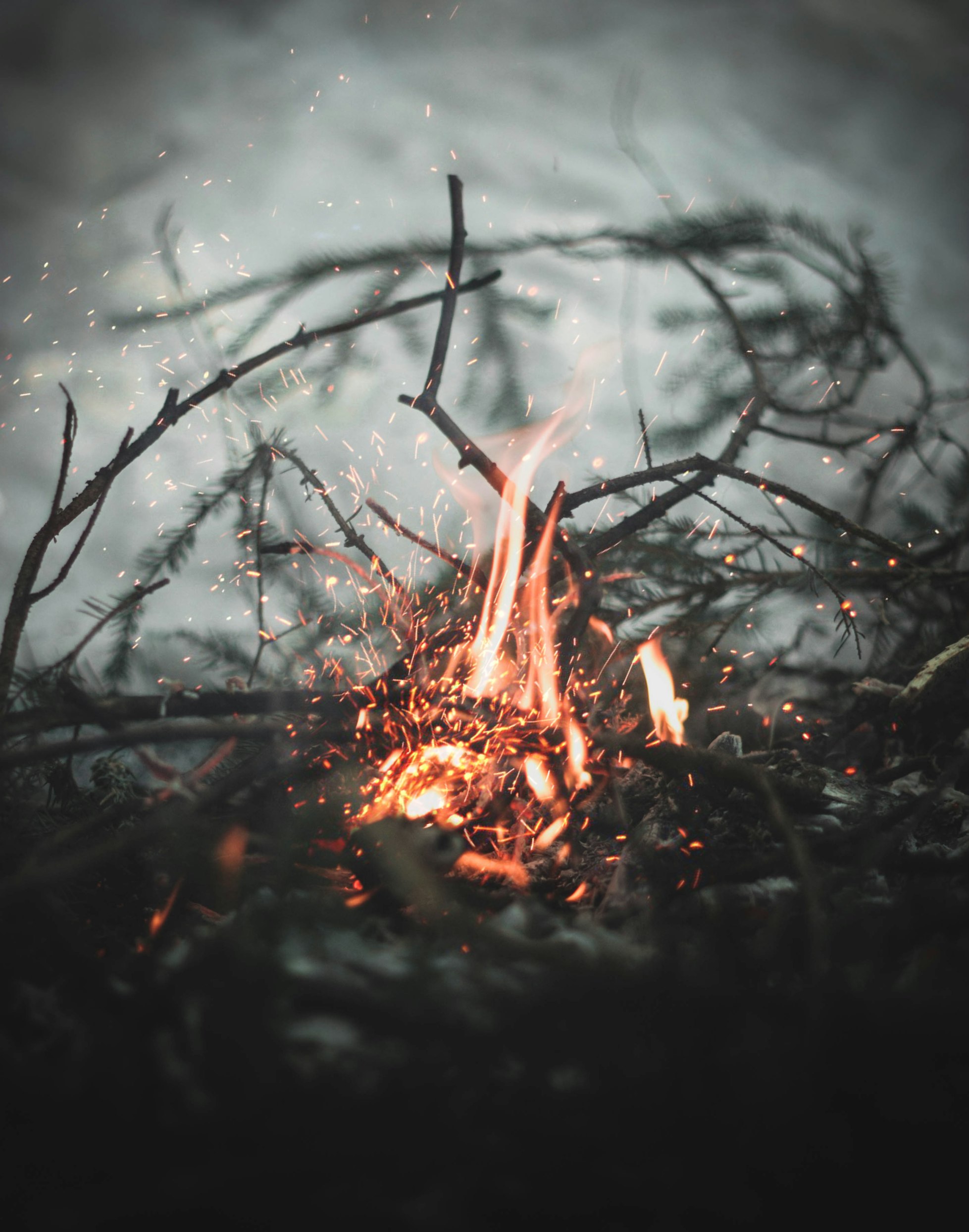 Early Forest Fire Detection