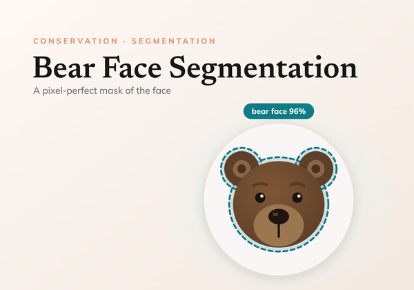 A guide to designing a bear face segmentation system