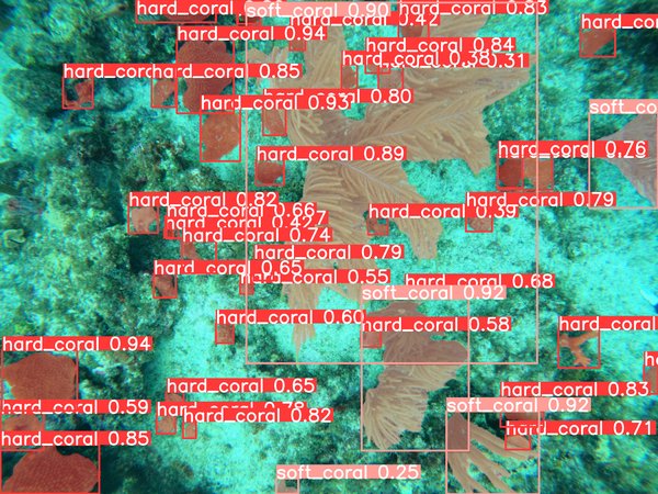 How to build a benthic coral reefs analyser