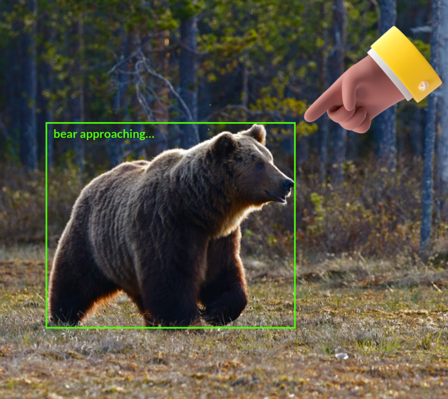 How to build a real time bear detection system