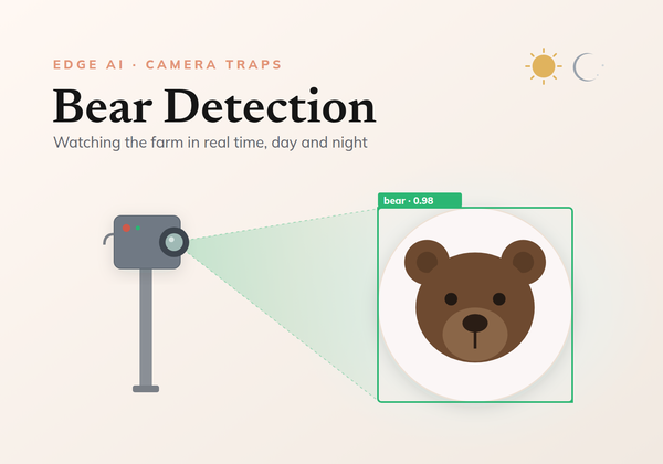 How to build a real time bear detection system