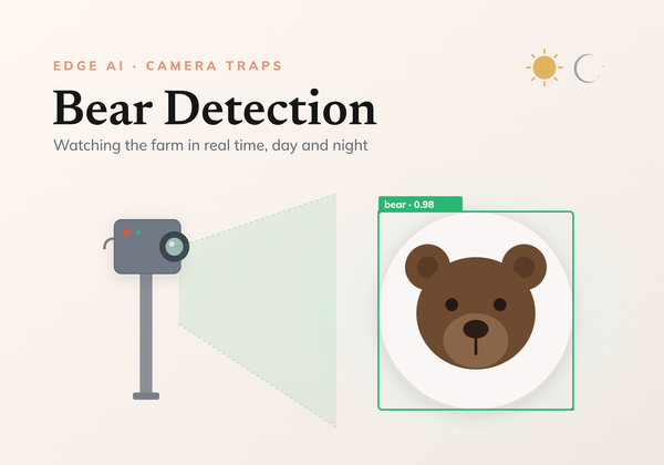 How to build a real time bear detection system