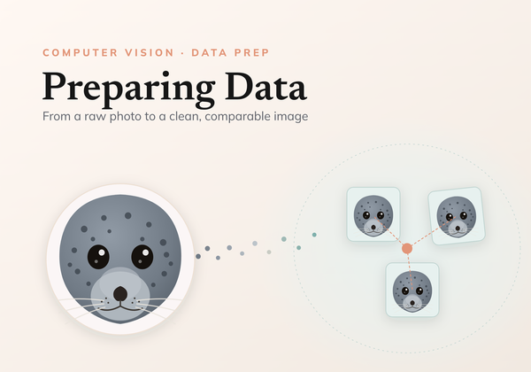 How to prepare data for identification?