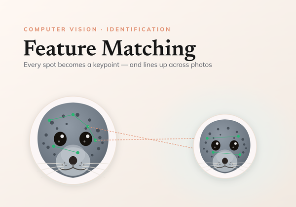 Identify individuals with Local Feature Matching