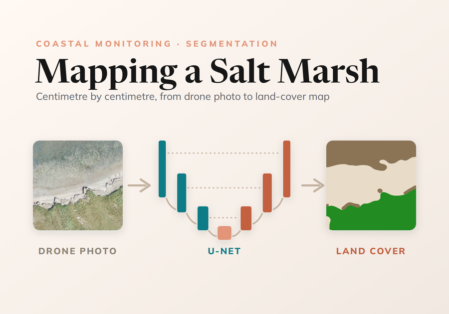 Mapping a Salt Marsh, Centimetre by Centimetre
