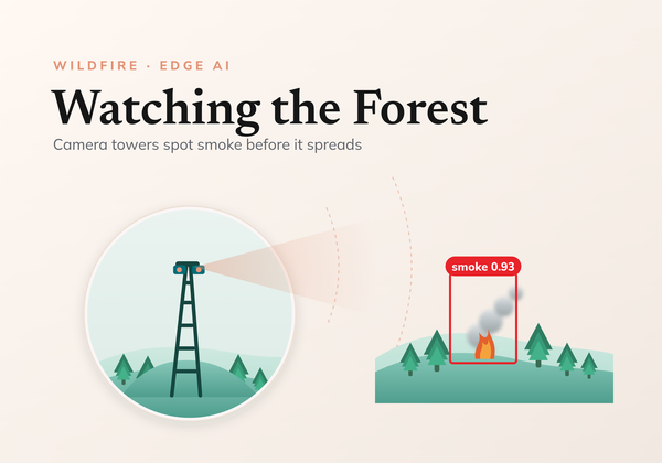 Protecting the Forest: Building an early forest fire detector