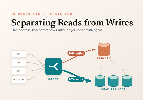 Separating Reads from Writes to Scale EarthRanger