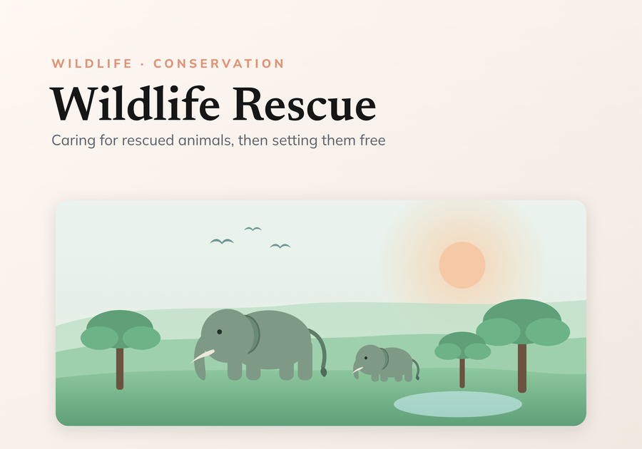 Volunteering at Wildlife Rescue Centers