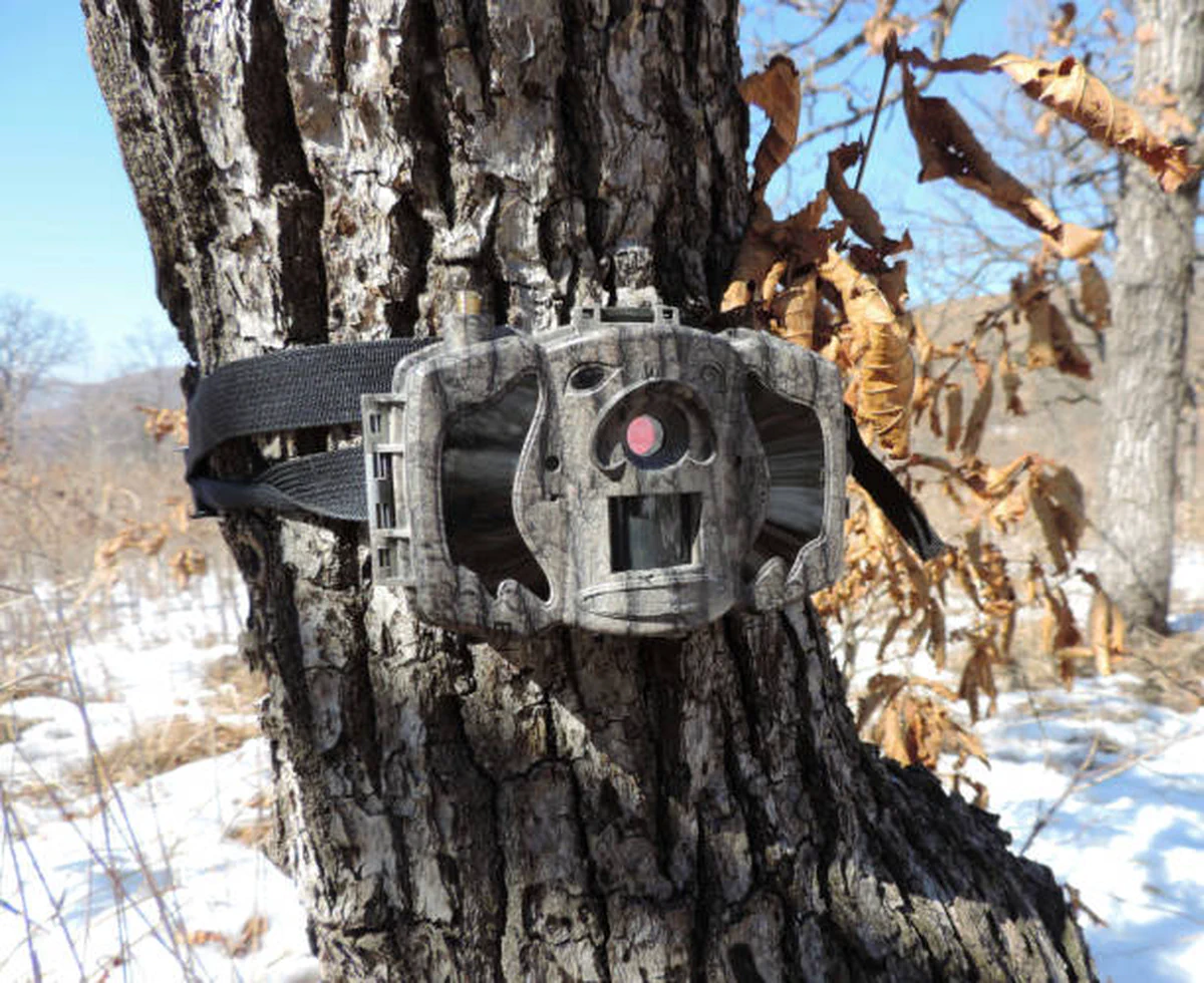 A camera trap in the field