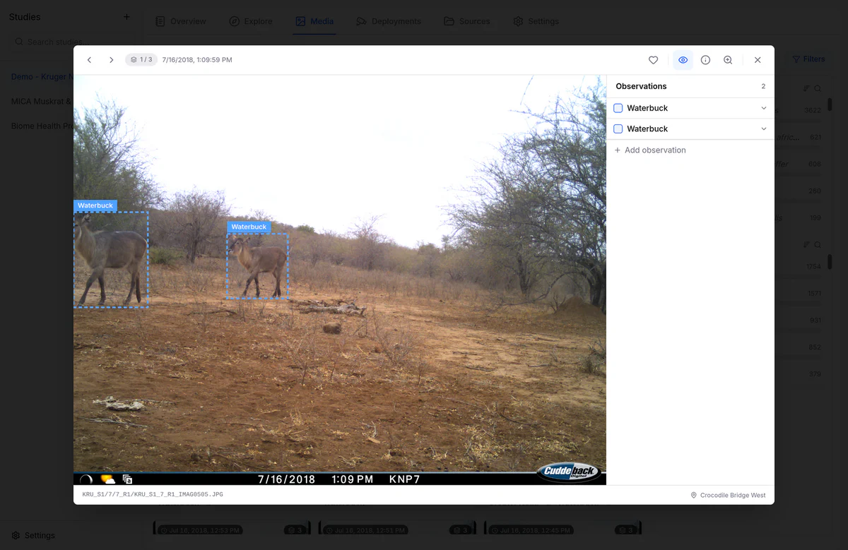 Gallery viewer with bounding boxes