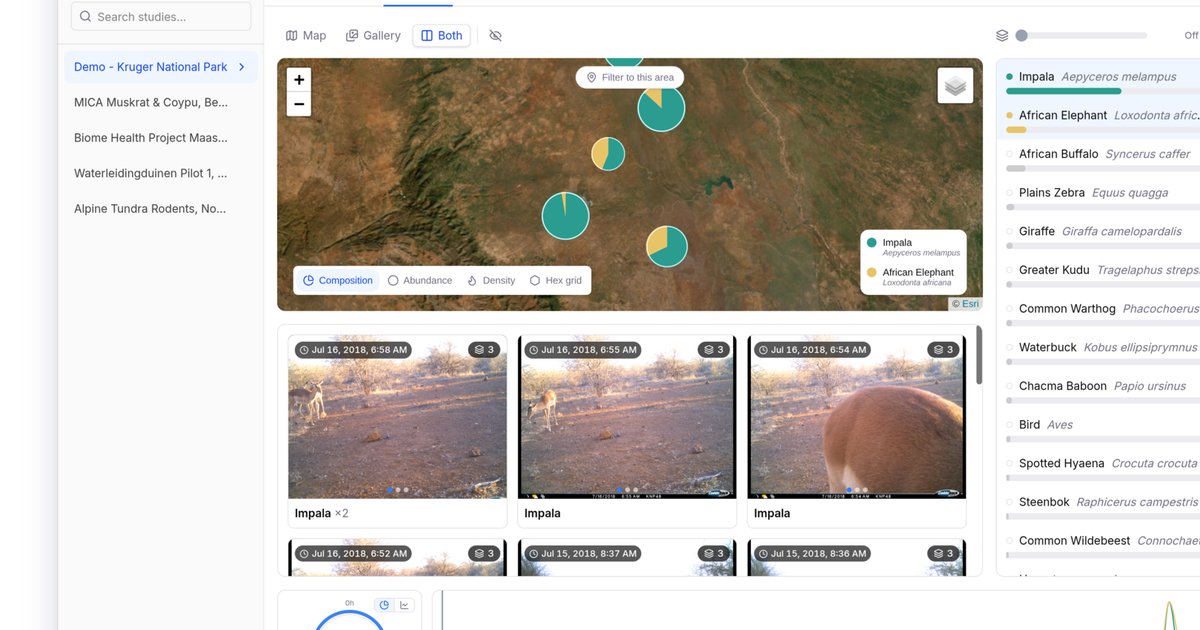 Biowatch: Camera Trap Data, Visualized | earthtoolsmaker