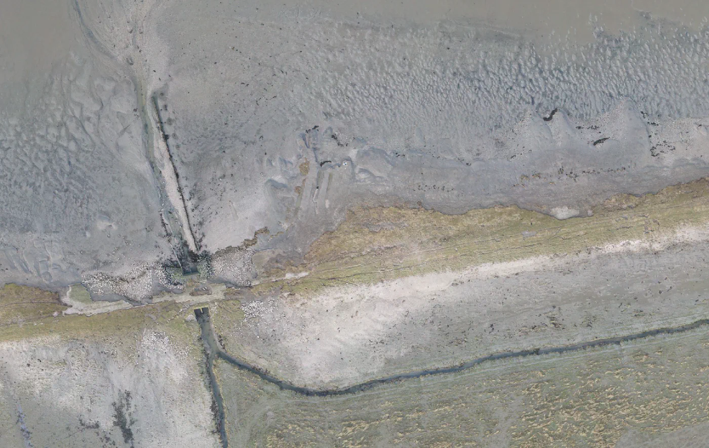 The same 120 m of marsh cliff and groyne field at Wierum, two winters apart (Jan 2024)
