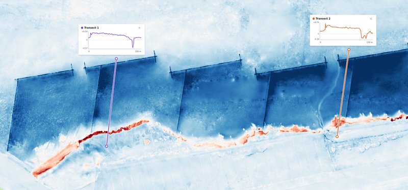 Two transects drawn from the mudflat across a groyne field to the marsh, each with its profile: the ground raised across the groyne field, then a sharp drop where the line crosses the eroding marsh edge