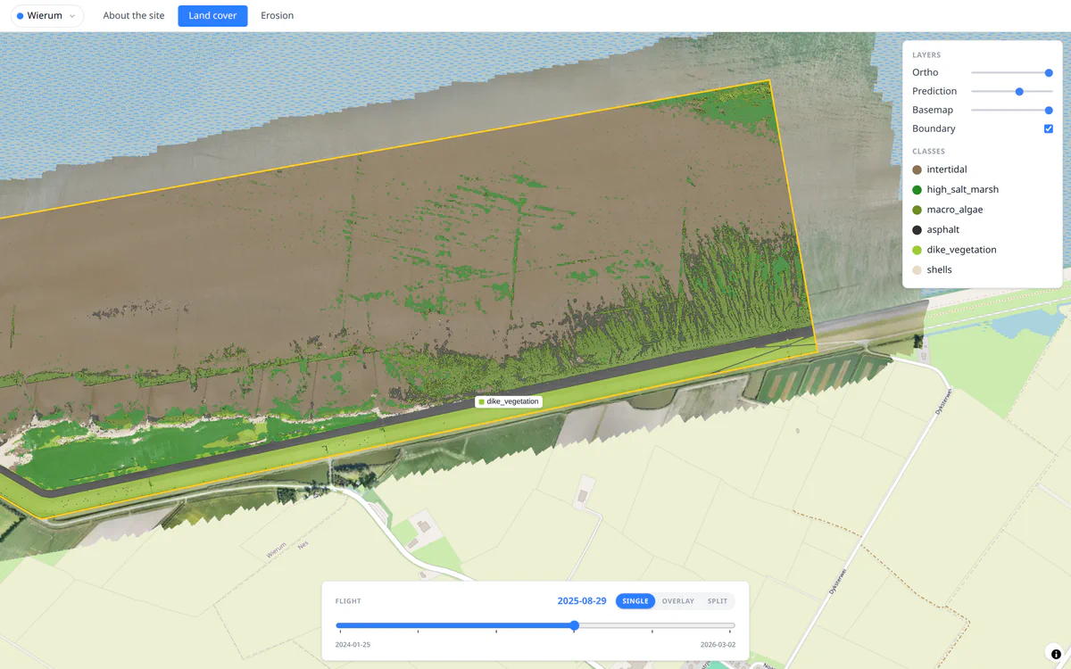 Zoomed view of land cover predictions along the marsh edge, with a tooltip identifying dike vegetation