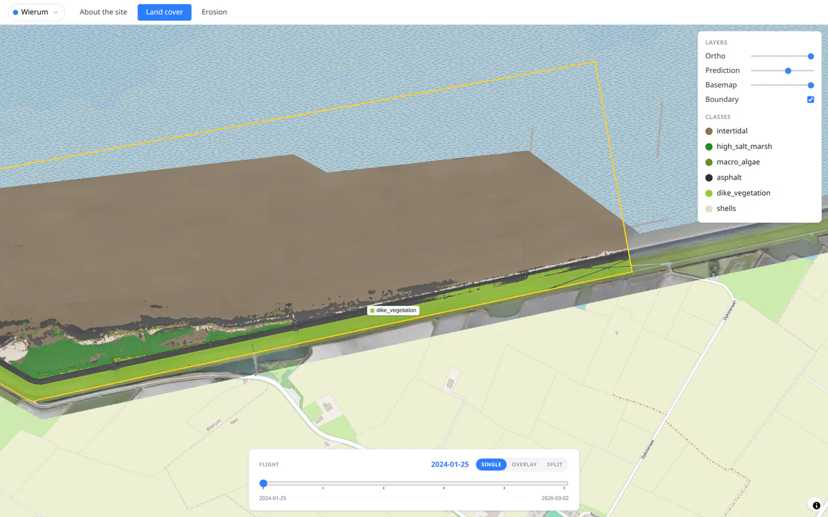 Single mode showing the bare winter mudflat of the January 2024 baseline flight