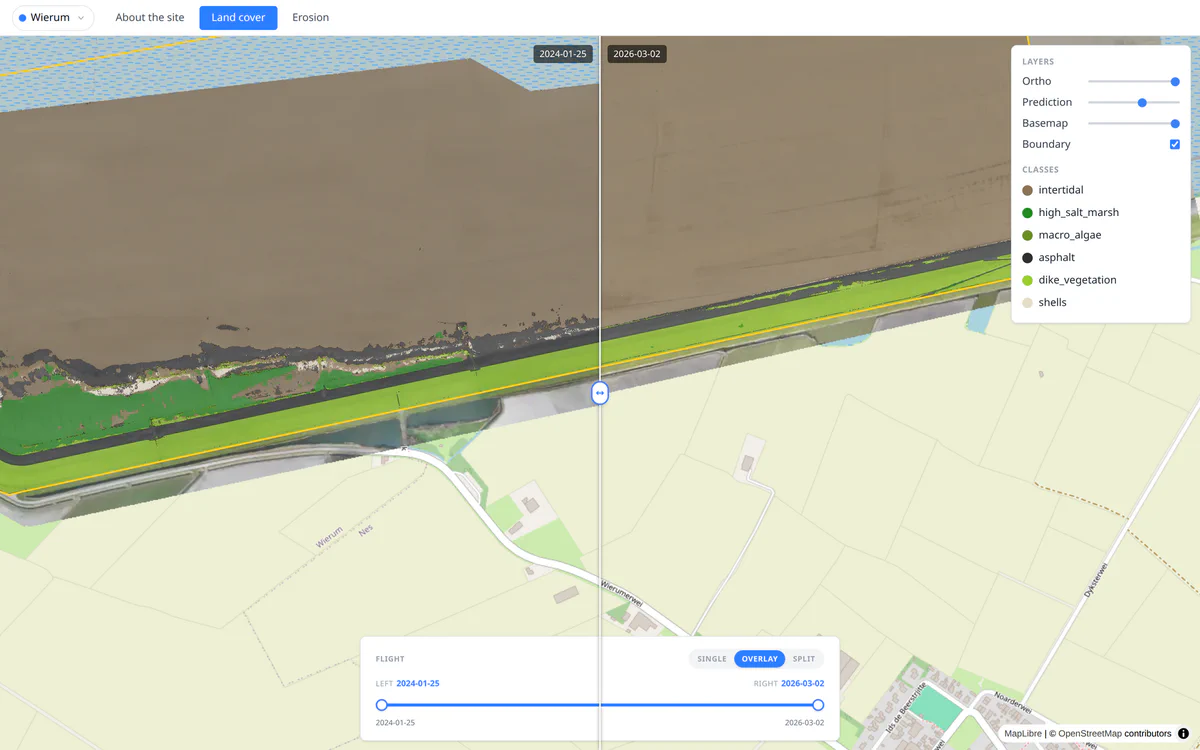Swipe comparison of the Wierum marsh edge between January 2024 and March 2026