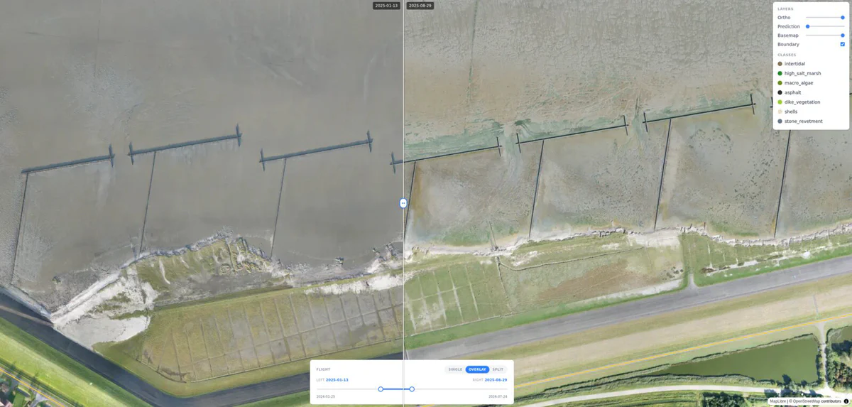 Swipe comparison of drone photos of the marsh edge in January 2025 and August 2025