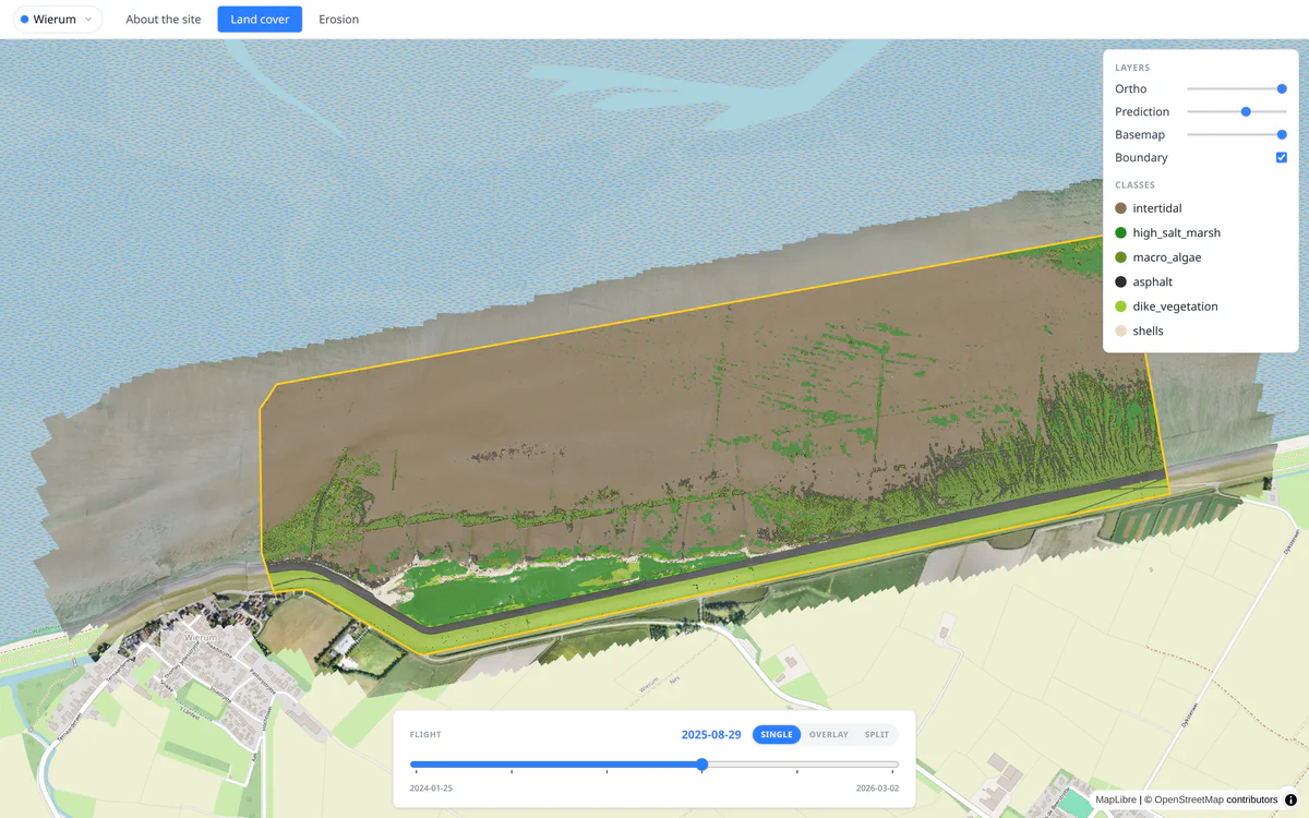 The CODAP portal showing the Wierum site with land cover predictions over a drone orthophoto