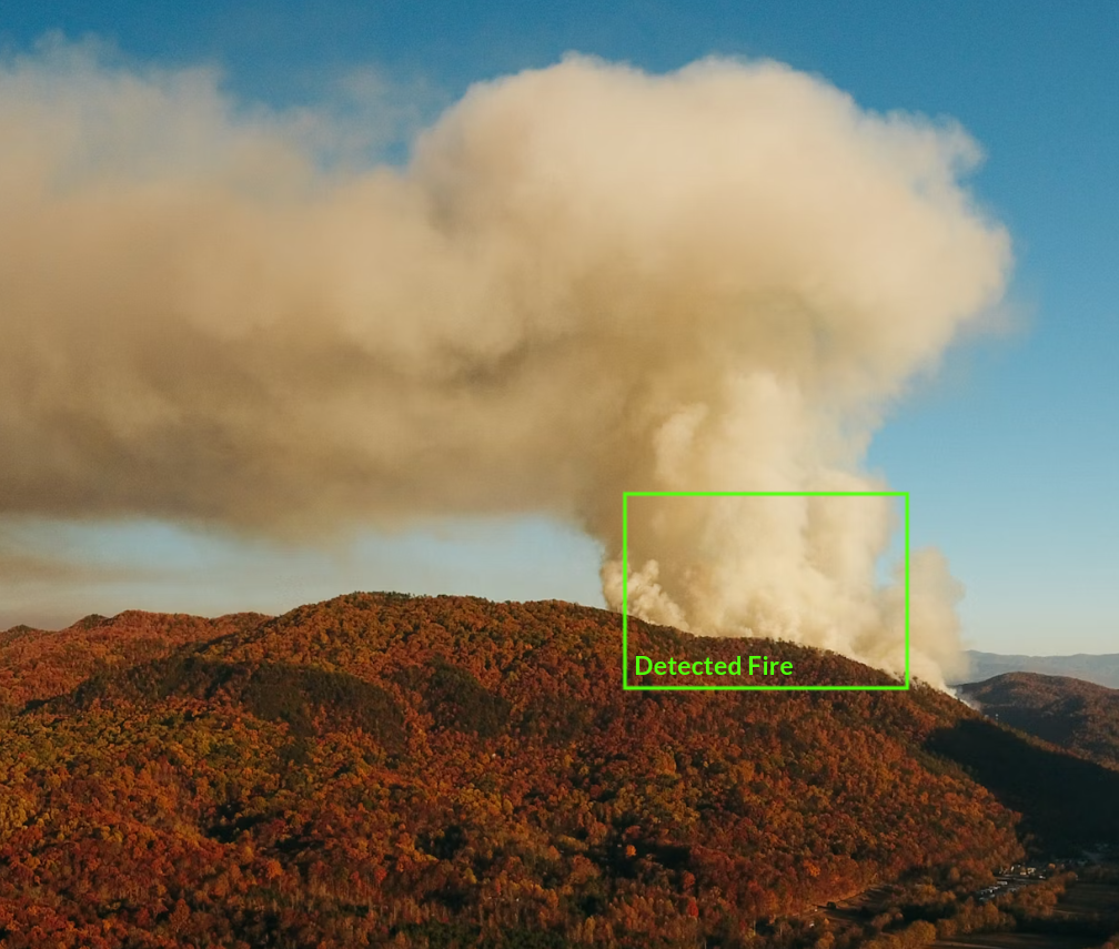 Early Forest Fire Detection