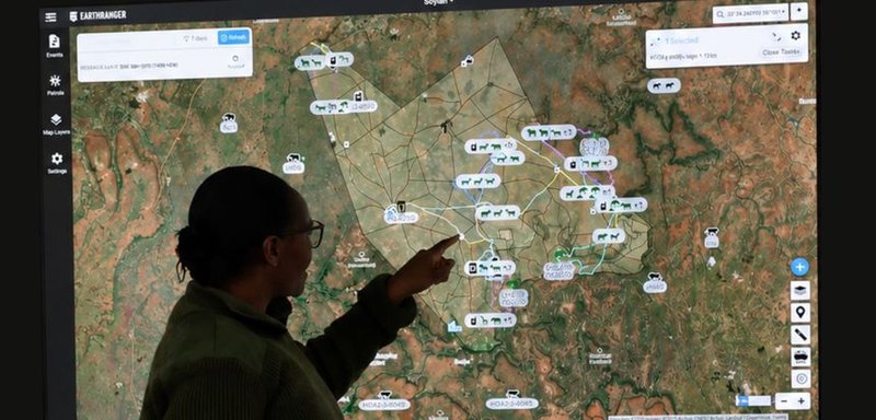 The EarthRanger web application showing tracked wildlife and patrols on a live map