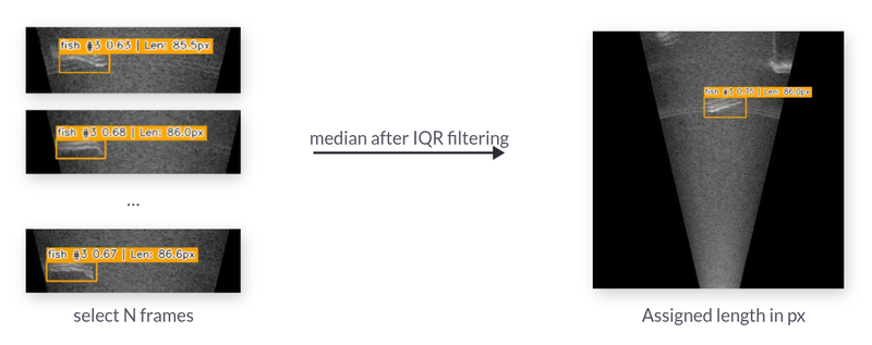 Length estimation process