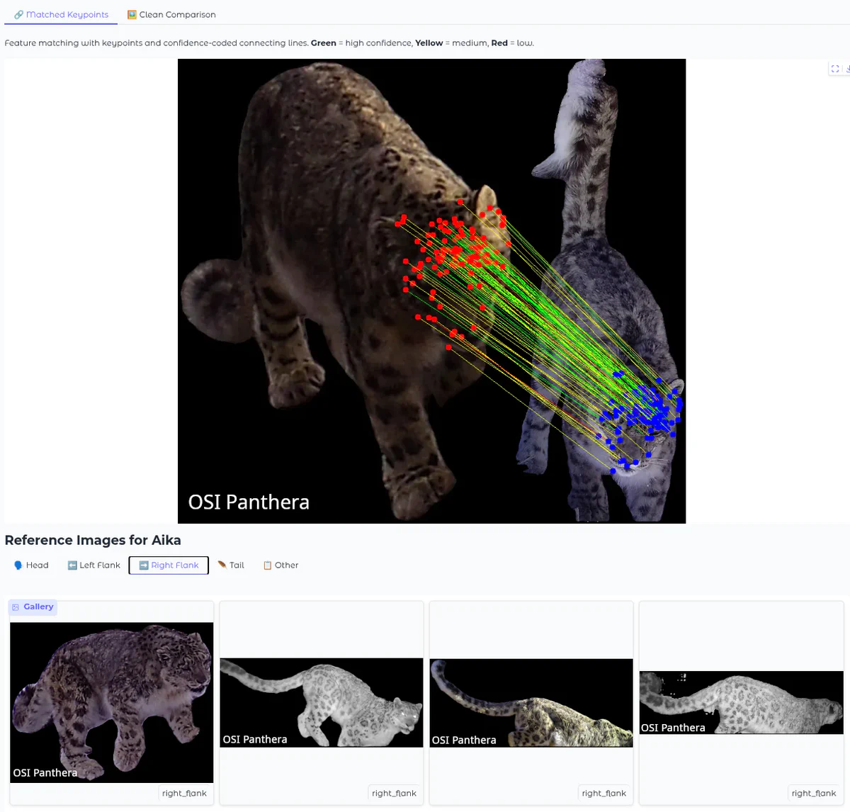 Snow leopard keypoint matching
