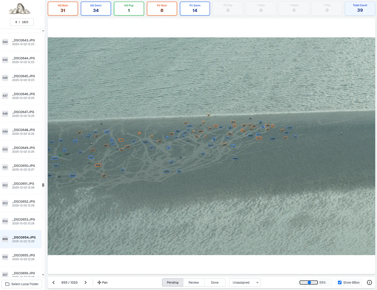 Web Application Review Interface