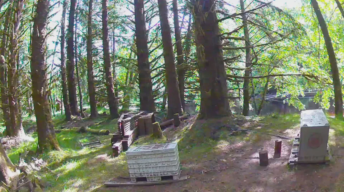 Sonar setup at the Haida site