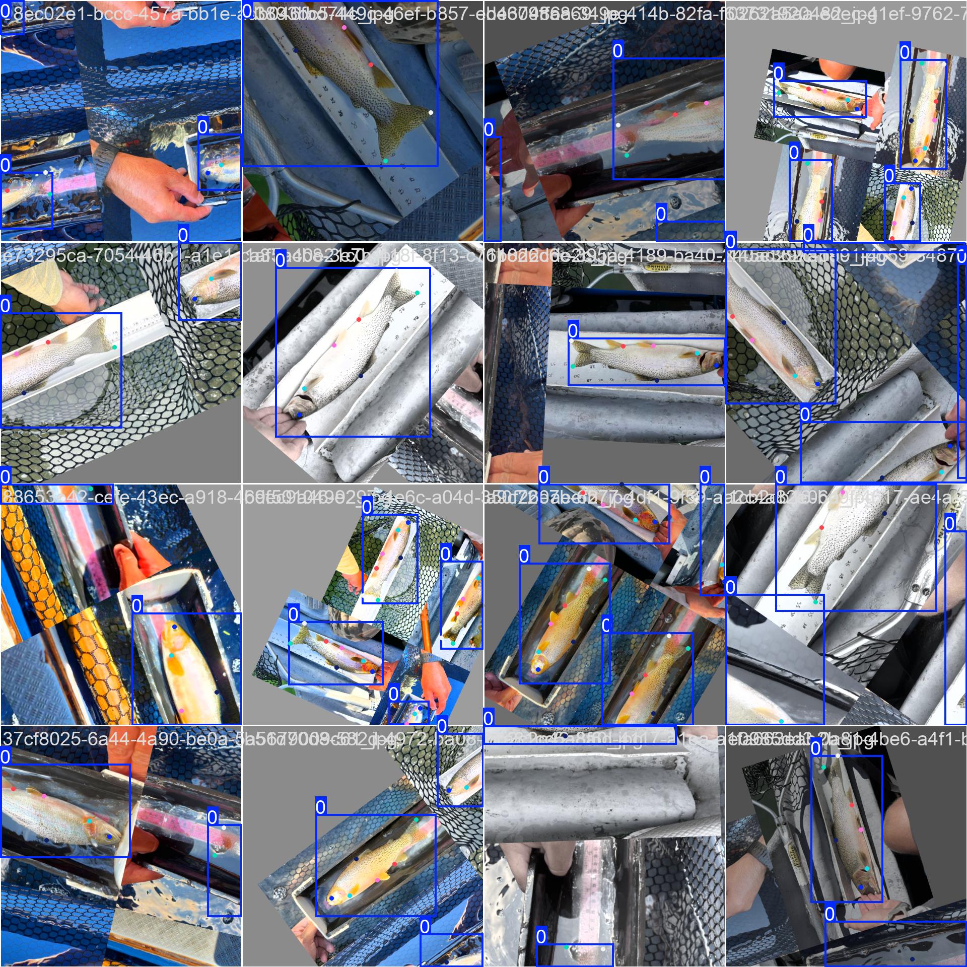 Annotated Dataset - Batch 0 Batch 0
