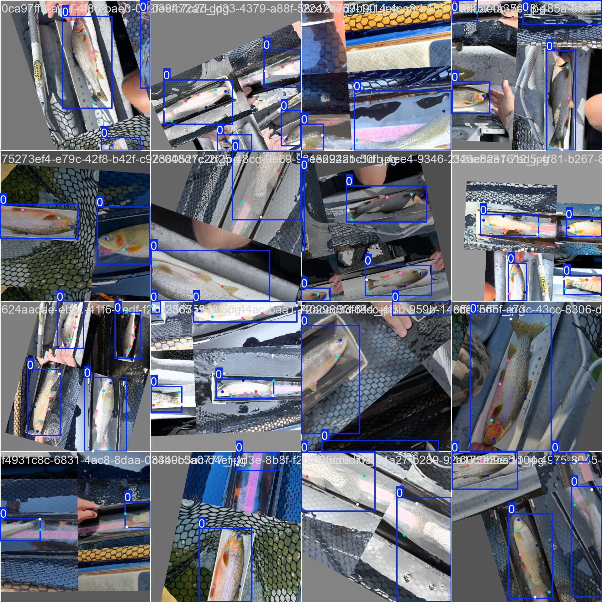 Annotated Dataset - Batch 1 Batch 1