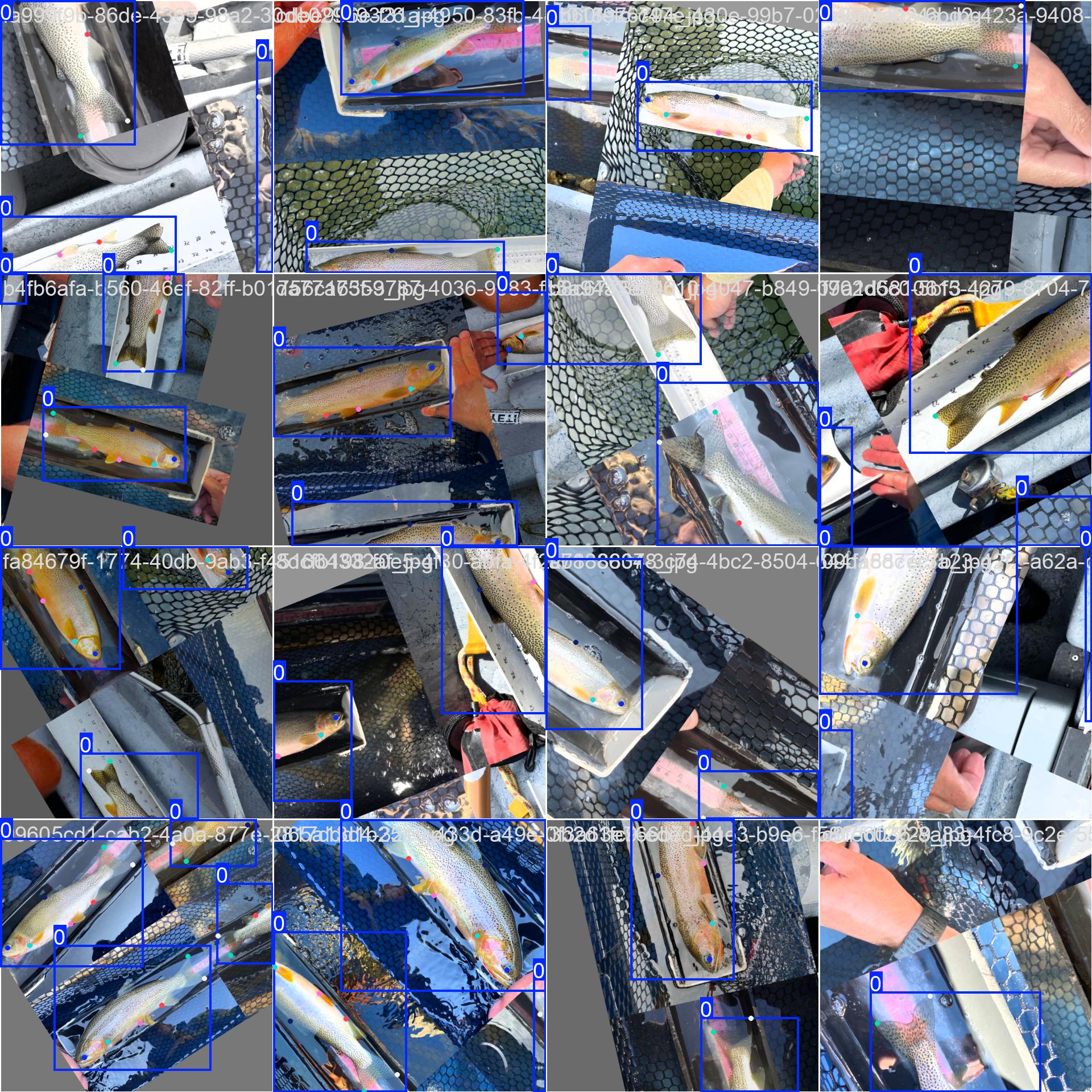 Annotated Dataset - Batch 2 Batch 2