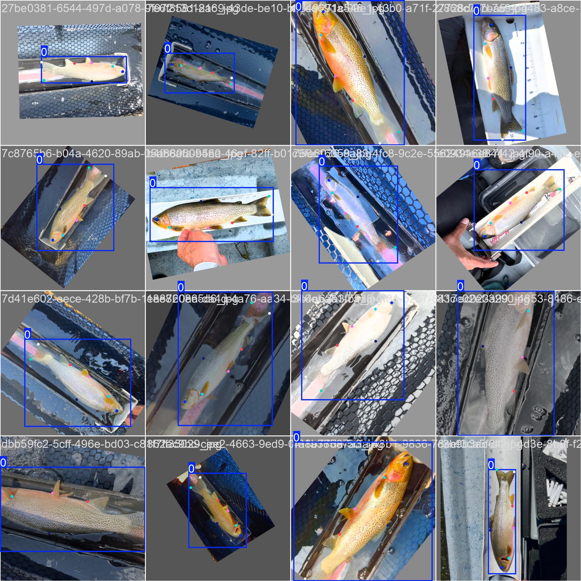 Annotated Dataset - Batch 910 Batch 910