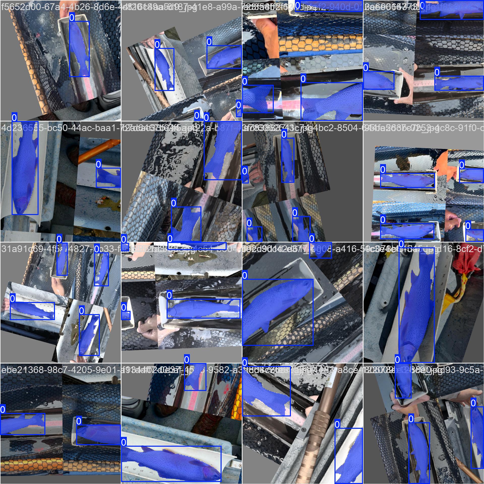 Annotated Dataset - Batch 1 Batch 1