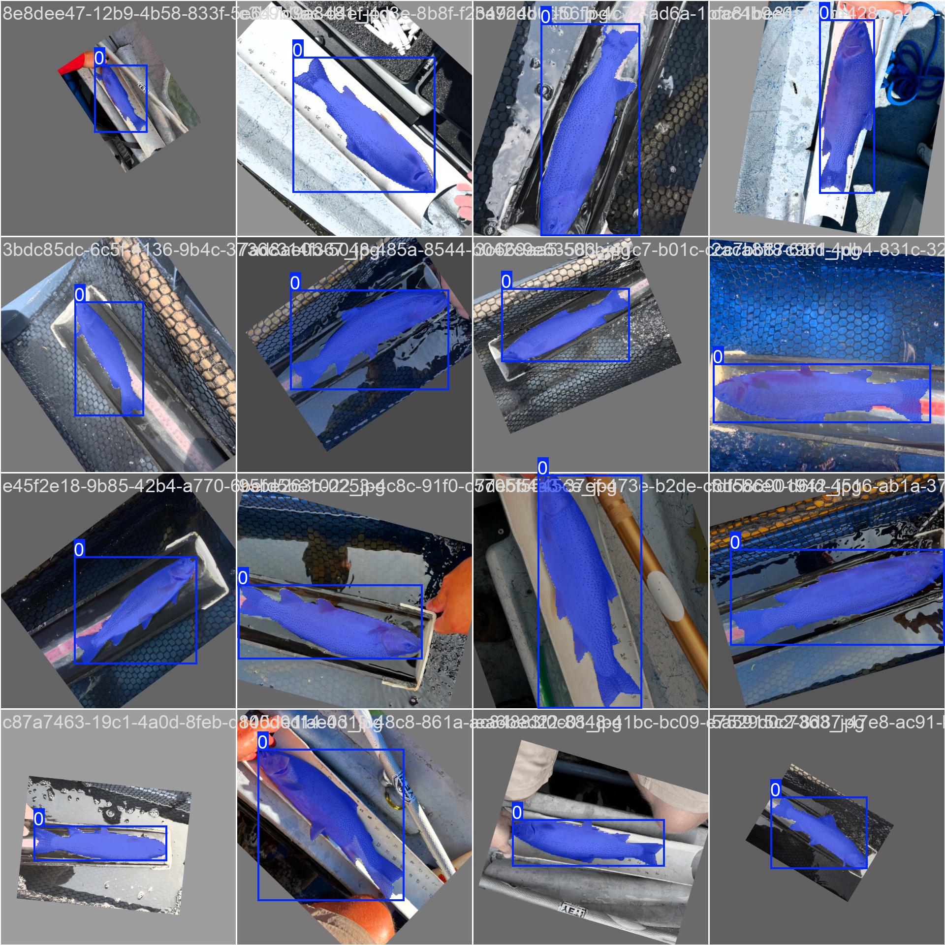 Annotated Dataset - Batch 910 Batch 910