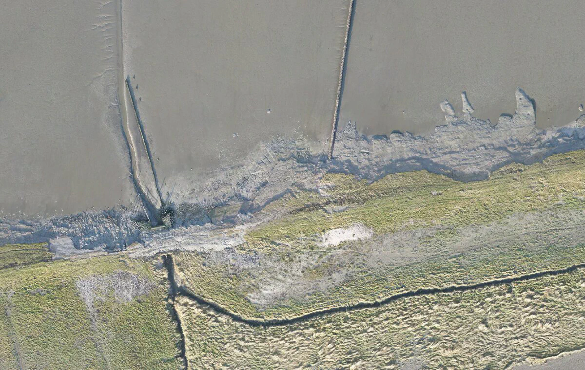 The same 120 m stretch of marsh edge and groyne field at Wierum (13 Jan 2025)
