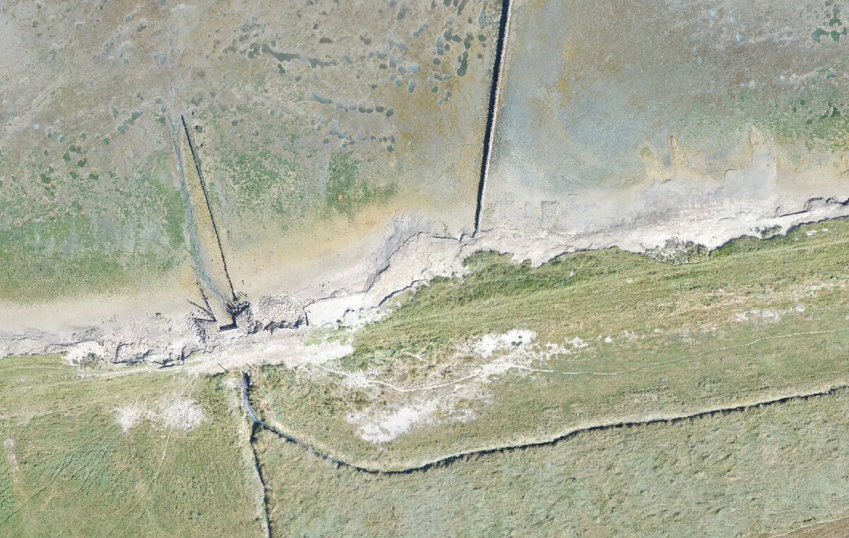 The same 120 m stretch of marsh edge and groyne field at Wierum (29 Aug 2025)
