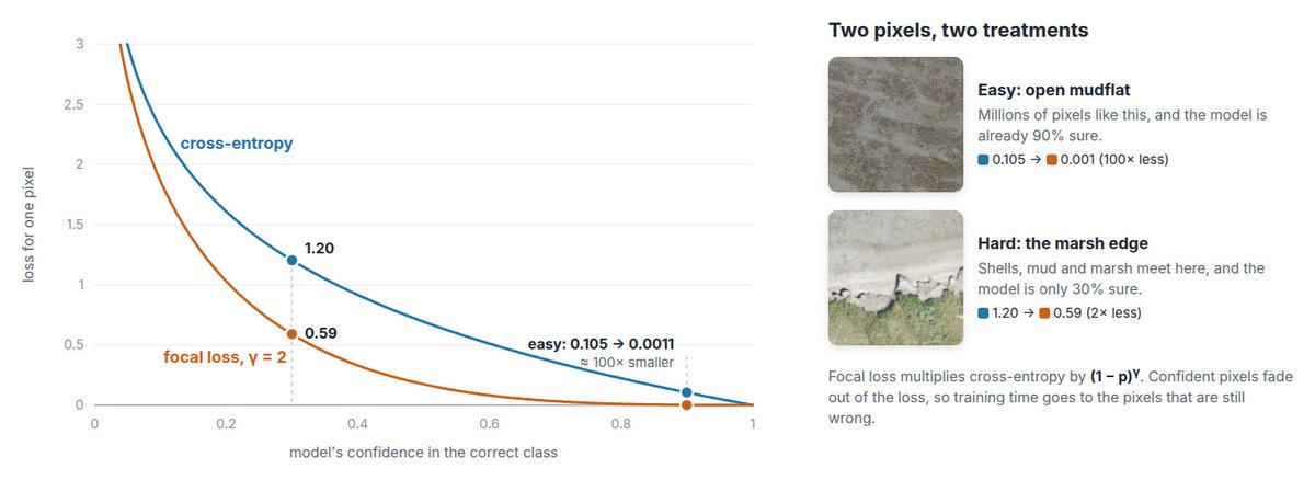 Loss per pixel against the model&rsquo;s confidence in the correct class, for cross-entropy and focal loss with gamma 2. An easy mudflat pixel at 90% confidence drops from 0.105 to 0.001; a hard marsh-edge pixel at 30% confidence drops only from 1.20 to 0.59