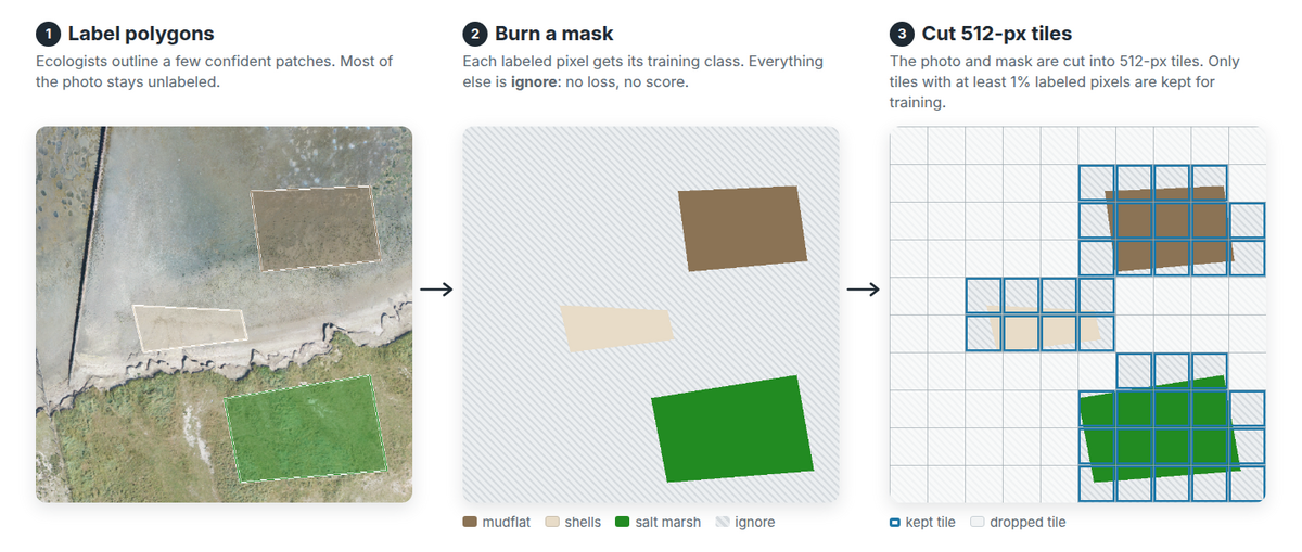 From labels to training tiles in three steps: label polygons on the drone photo, a mask where unlabeled pixels are ignored, and the 512-pixel tiles kept because at least 1% of their pixels are labeled