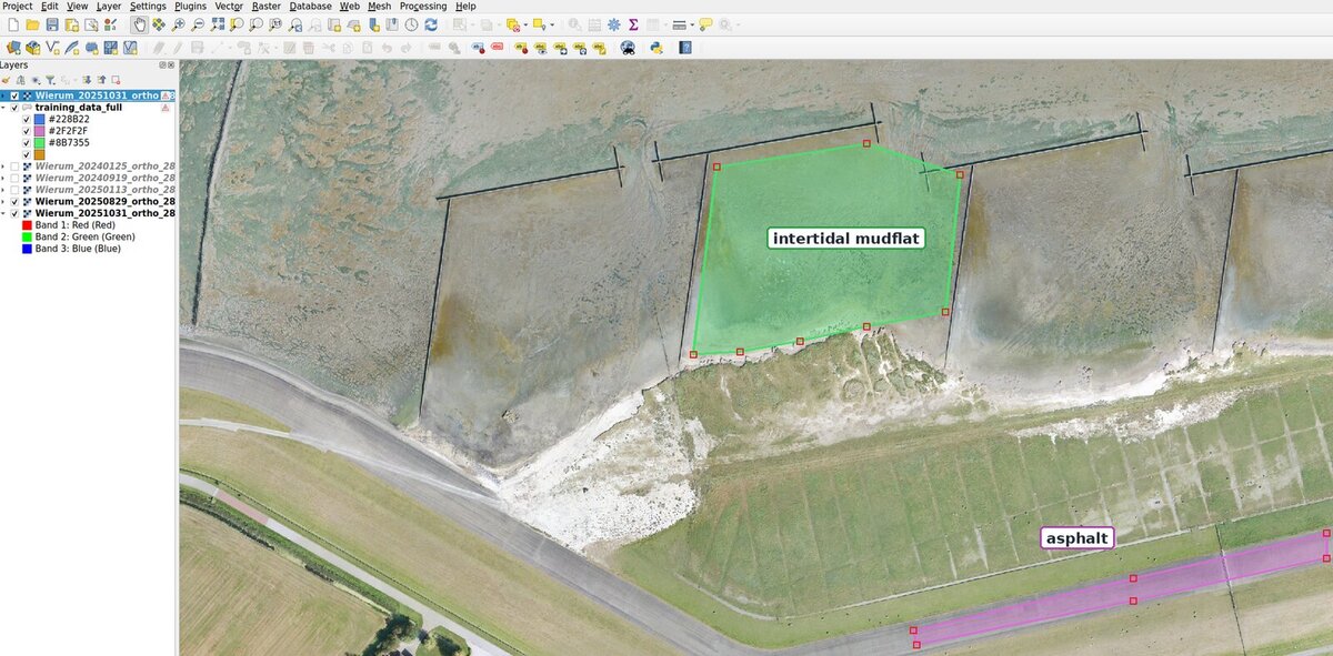QGIS with the drone orthophotos of Wierum loaded as layers, and two label polygons drawn on top: one for intertidal mudflat, one for asphalt