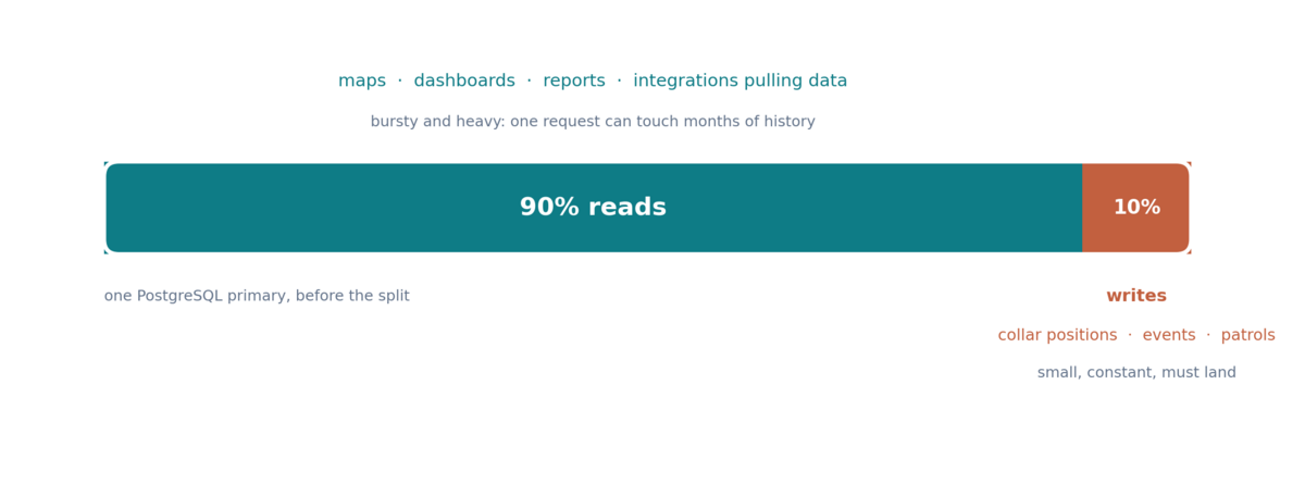 Database load on EarthRanger: 90% reads (maps, dashboards, reports, integrations) and 10% writes (positions, events, patrols)