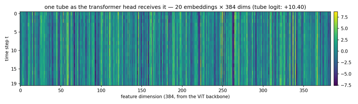 Heatmap of the 20 by 384 embedding matrix the temporal head receives, showing strong vertical striping