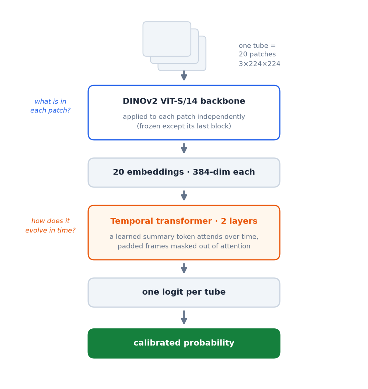 Architecture diagram: patches go through a DINOv2 ViT backbone per frame, then a two-layer temporal transformer reduces the sequence to one logit