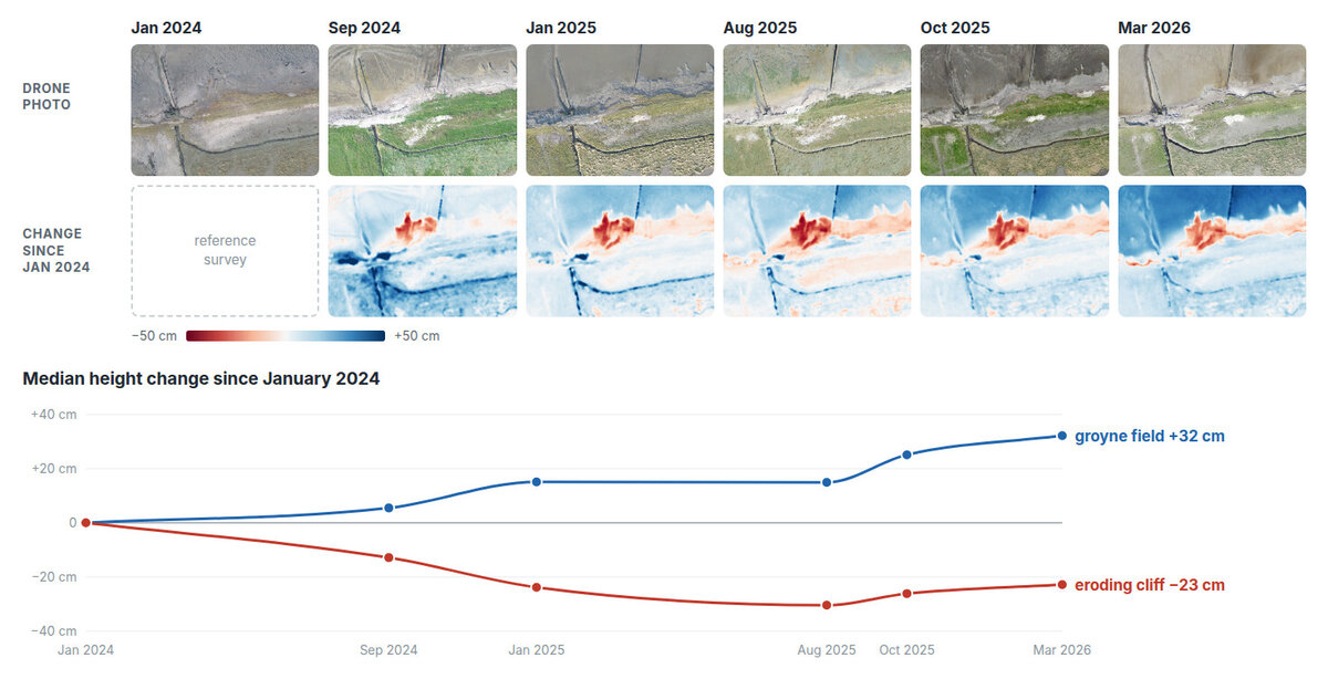 The same 100 by 70 metre stretch of marsh cliff and groyne field at Wierum in all six surveys from January 2024 to March 2026: the drone photos, the elevation change since January 2024 under each, and a chart of median change over time, rising to plus 32 centimetres in the groyne field and falling to minus 30 centimetres at the cliff by August 2025 before partly recovering to minus 23 centimetres